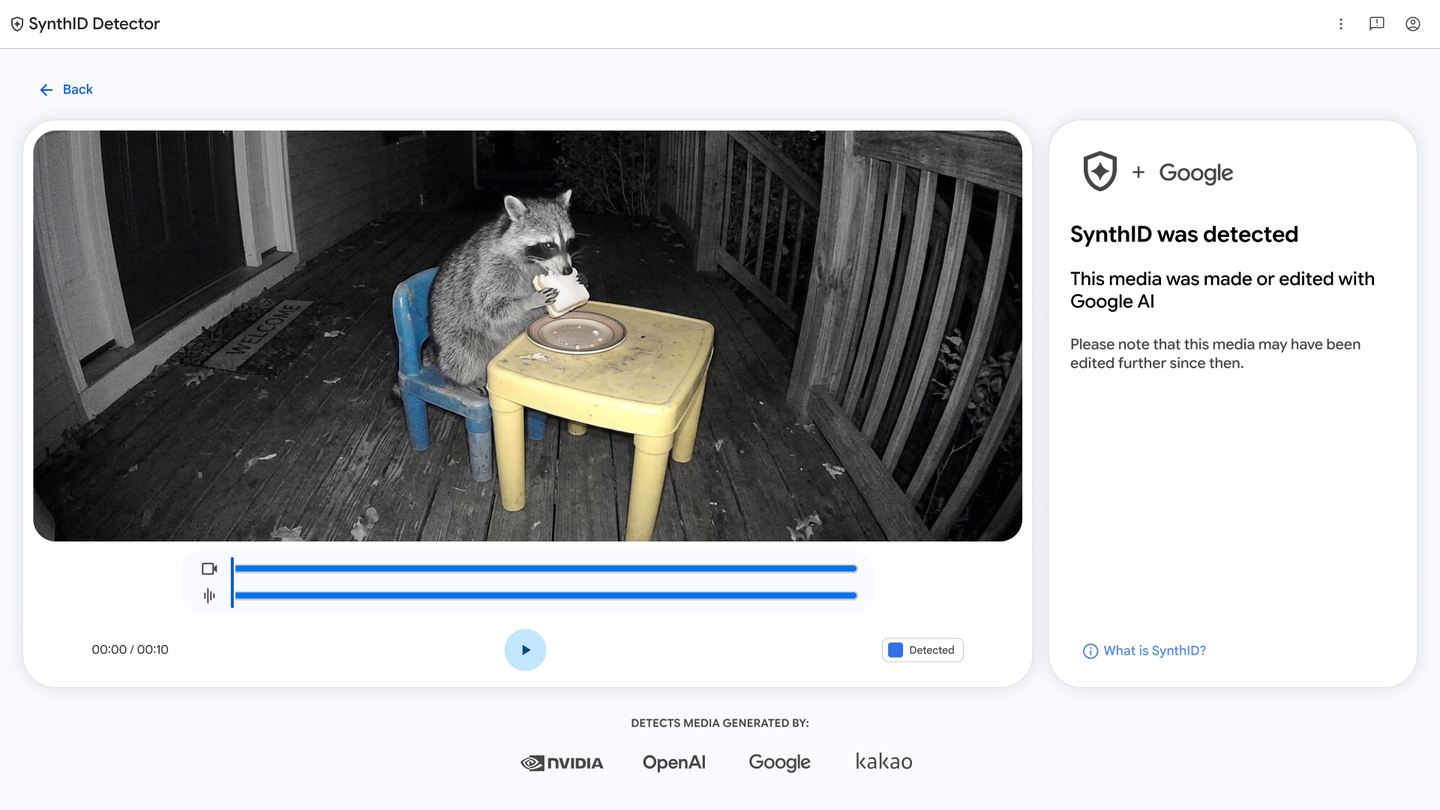 A raccoon video shown within the Google SynthID Detector interface.